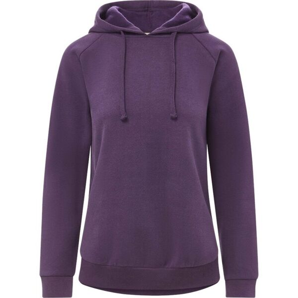 Women's Vintage Fleece Hooded Sweatshirt Thumbnail